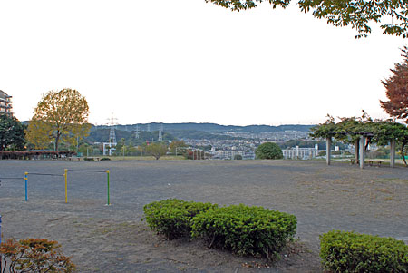 いちばんすきな花ロケ地